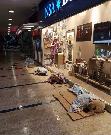 İnsanlıq dərsi - İş adamları şaxtalı havada heyvalara qapı açdı