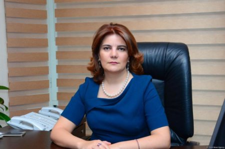 “APA Holding” fəaliyyətini tamamilə dayandırdı