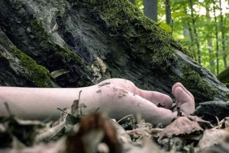 Bulaqda qanlı dava: "Bizimlə oturmaq istəməyən kimdir?.." – Qubada cinayət