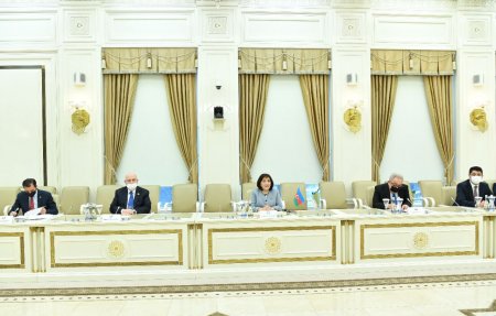 Milli Məclisin sədri Sahibə Qafarova TBMM-in Azərbaycanla dostluq qrupunun üzvləri ilə görüşüb