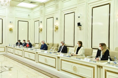 Milli Məclisin sədri Sahibə Qafarova TBMM-in Azərbaycanla dostluq qrupunun üzvləri ilə görüşüb