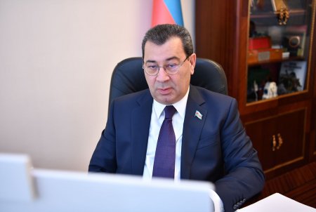 Komitələrin birgə onlayn iclasında