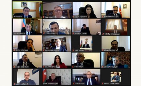 Komitələrin birgə onlayn iclasında