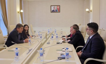 Parlament görüşləri