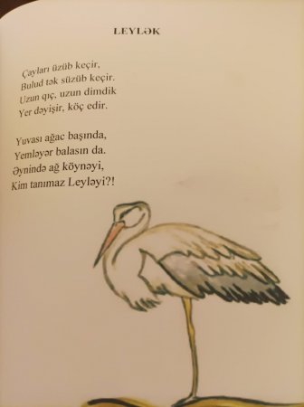 Tanınmış yazıçı-sairə Mətanət Ulu Şirvanlınin "Nağıla bənzər təbiət" adlı kitabı çapdan çıxıb 