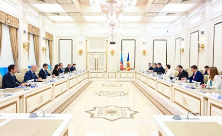 Milli Məclisin sədri Sahibə Qafarova Moldovanın Baş naziri ilə görüşüb