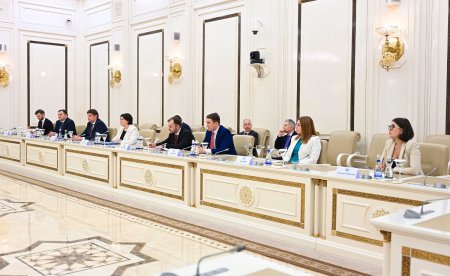 Milli Məclisin sədri Sahibə Qafarova Moldovanın Baş naziri ilə görüşüb