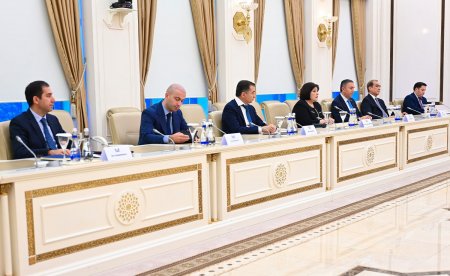 Milli Məclisin sədri Sahibə Qafarova Moldovanın Baş naziri ilə görüşüb