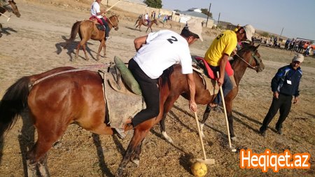 Qobustanda Çövkən turniri keçirildi                             
