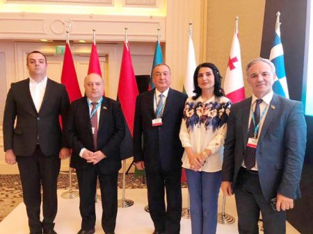 Eldar Quliyev qətlə yetirilən 2 yaşlı Zəhranın şəklini QDİƏT Parlament Məclisinin sessiyasında nümayiş etdirdi 