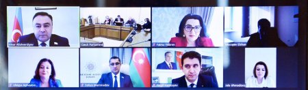 Azərbaycan və Çexiya parlament dostluq qruplarının onlayn görüşü olub